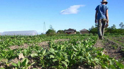 Asaja León pide explicaciones sobre la concentración parcelaria de Valderas 