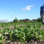 Asaja León pide explicaciones sobre la concentración parcelaria de Valderas 