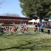 160 escolares participan en la prueba de cross puntuable para el campeonato provincial