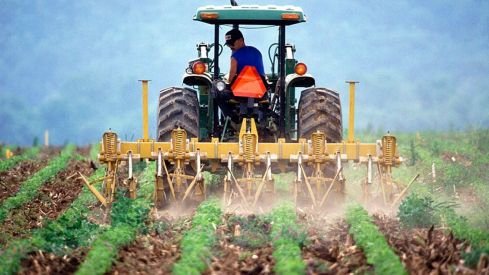 Asaja califica de "aceptable" la situación actual del campo leonés