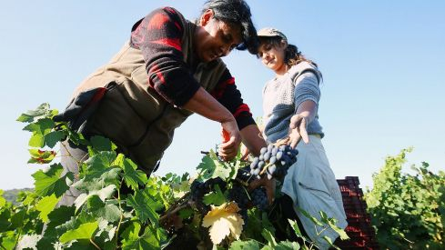 ‘Mujeres que transforman el territorio’: Tres días de actividades por el Día de las Mujeres Rurales en el Alto Bernesga ‘Mujeres que transforman el territorio’: Tres días de actividades por el Día de las Mujeres Rurales en el Alto Bernesga
