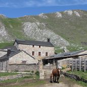 Un juzgado de León anula todas las actuaciones de la Fiesta de las Nieves organizada por el Ayuntamiento de Mieres en Pinos