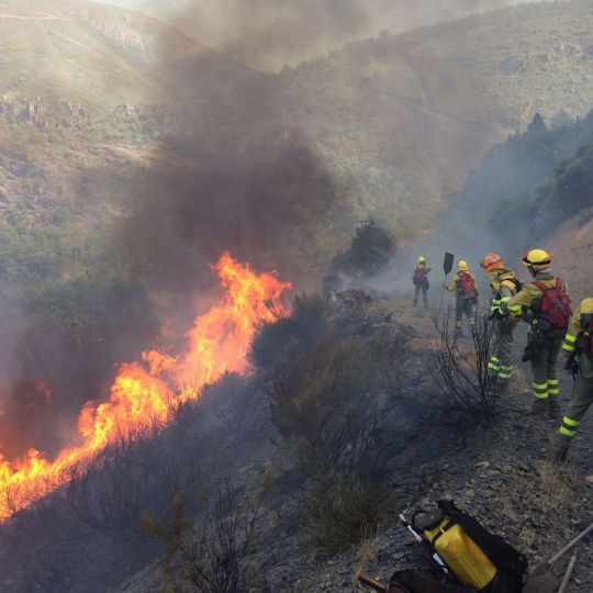 Conceyu exige a la Junta un contingente especializado y profesional de bomberos forestales para el País Leonés | Archivo Infobierzo