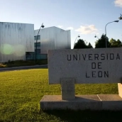 Un árbol destroza una marquesina de autobús en la Universidad de León