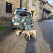 Estafan a un leonés al hacerle creer que conocían el paradero de su perro desaparecido 