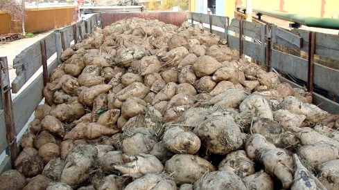 La Junta desestima "masivamente" las ayudas a los agricultores de la Valduerna (León) con riegos de agua subterránea