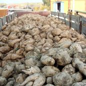 La Junta desestima "masivamente" las ayudas a los agricultores de la Valduerna (León) con riegos de agua subterránea La Junta desestima "masivamente" las ayudas a los agricultores de la Valduerna (León) con riegos de agua subterránea