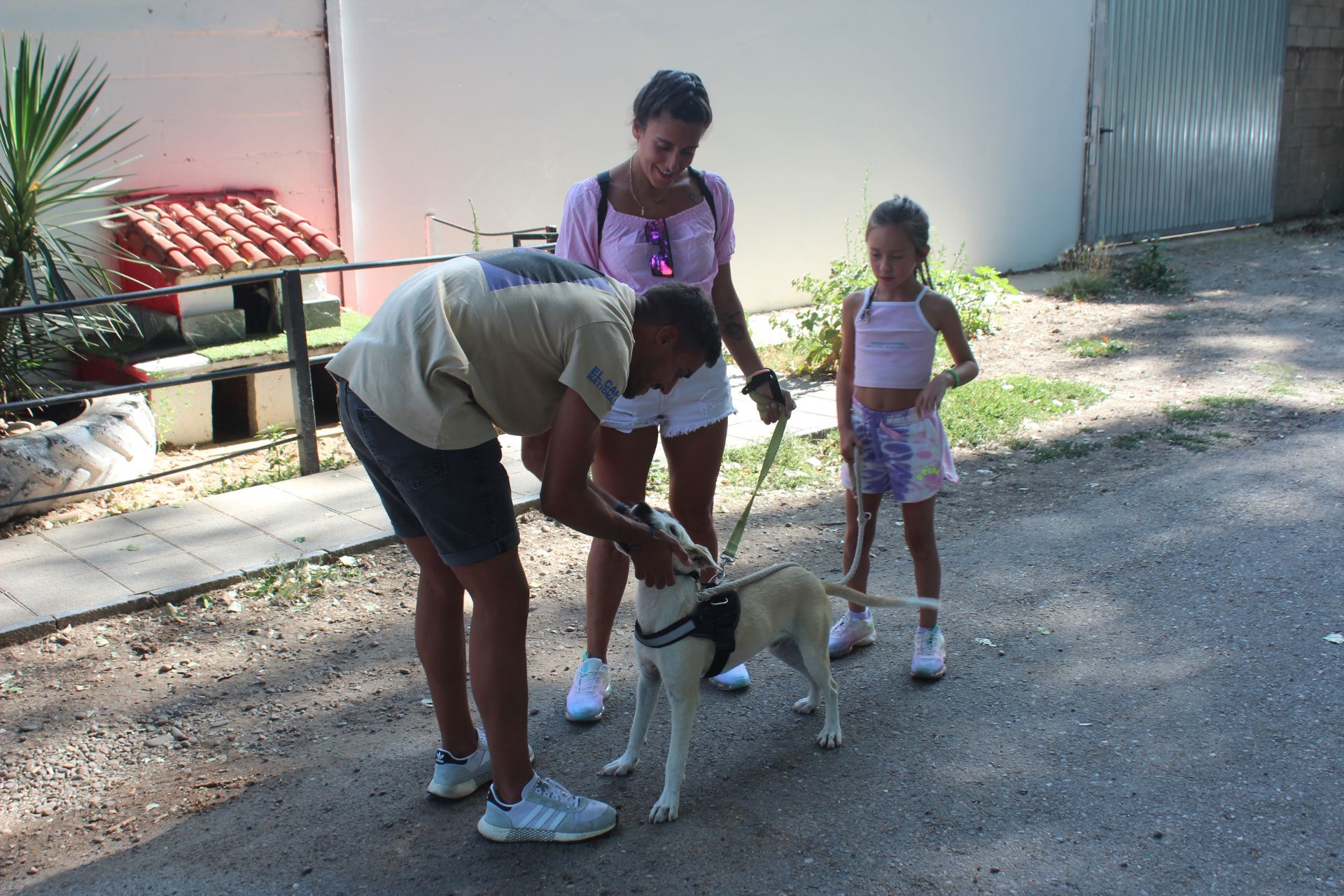 familia paseando perro apap leon 