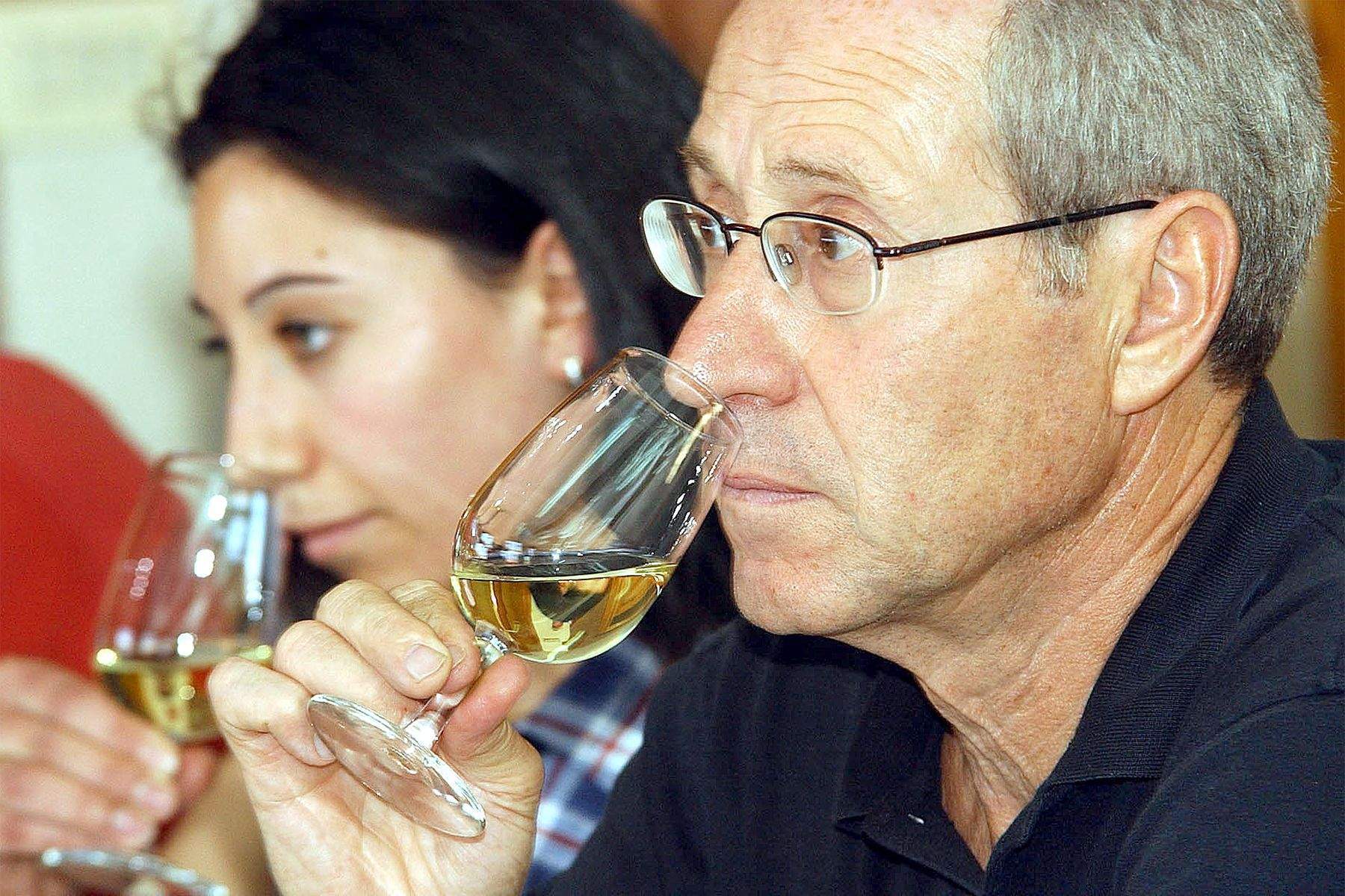 cata vinos gordoncillo cata vinos gordoncillo