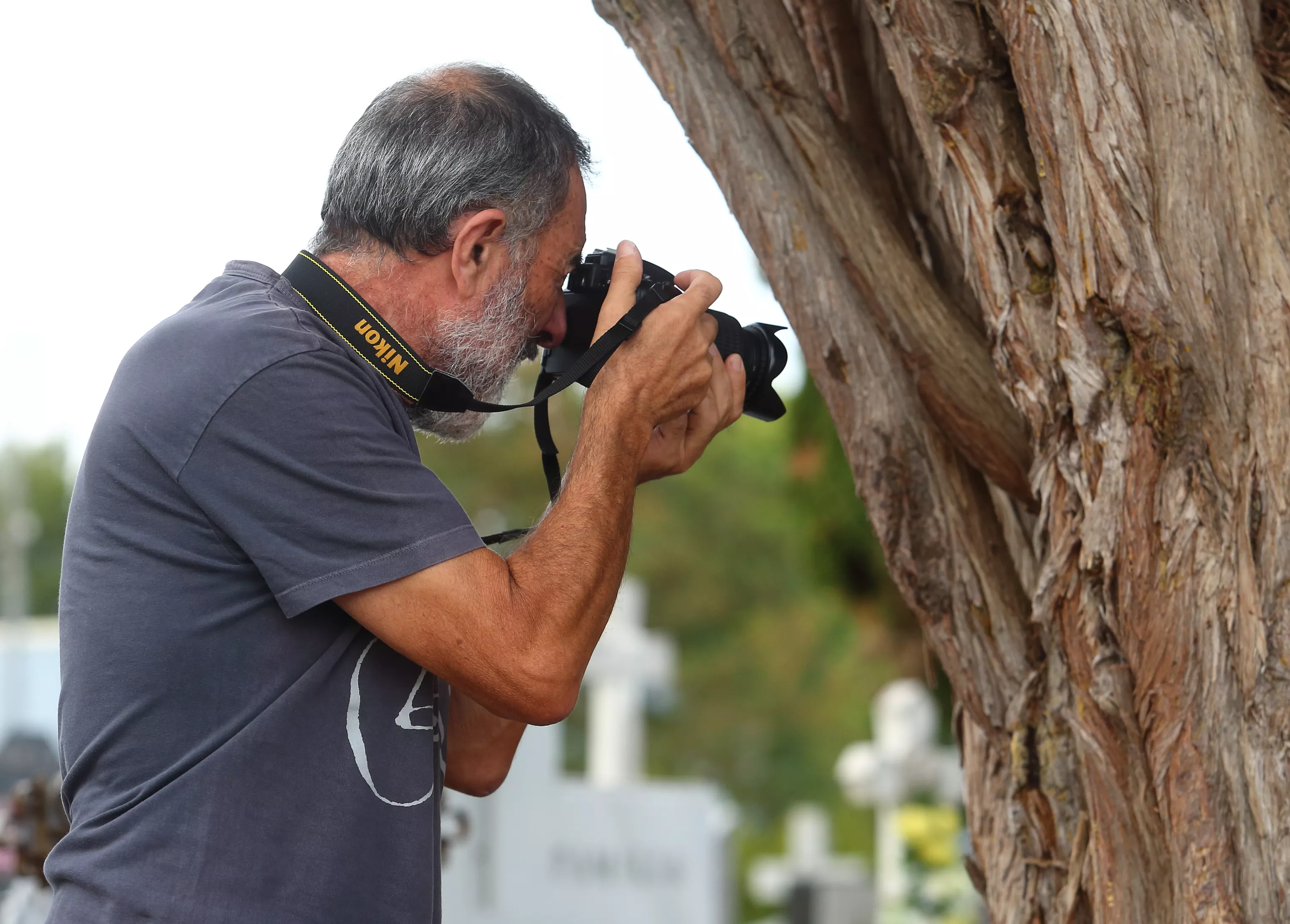 El fotógrafo cacabelense que fotografía la piel de los árboles del Bierzo El fotógrafo cacabelense que fotografía la piel de los árboles del Bierzo