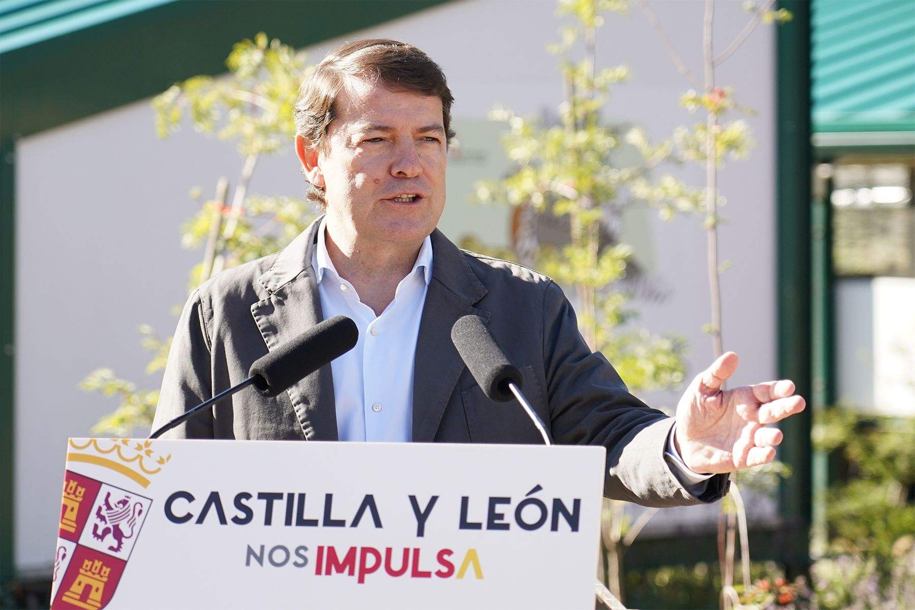 urogallo mañueco leon urogallo mañueco leon