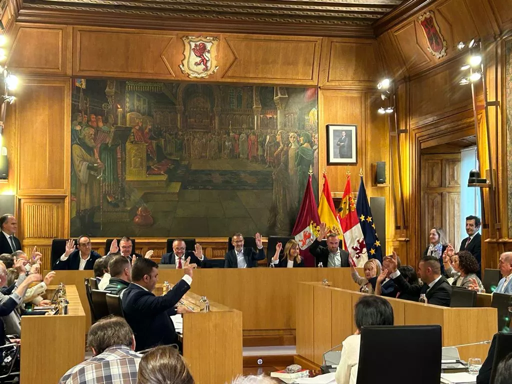 Pleno de organización de la Diputación de León