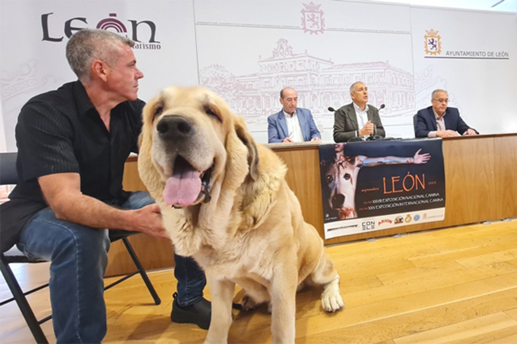 quintero presentacion expo canina leon quintero presentacion expo canina leon