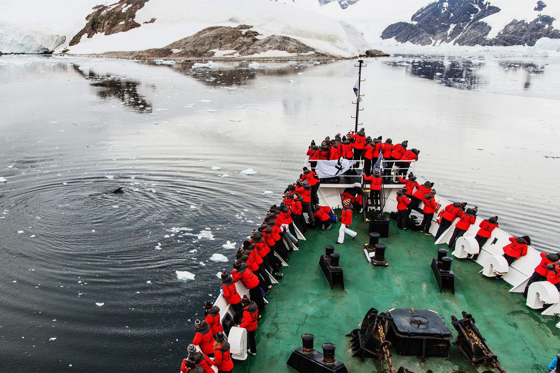 expedición antardita