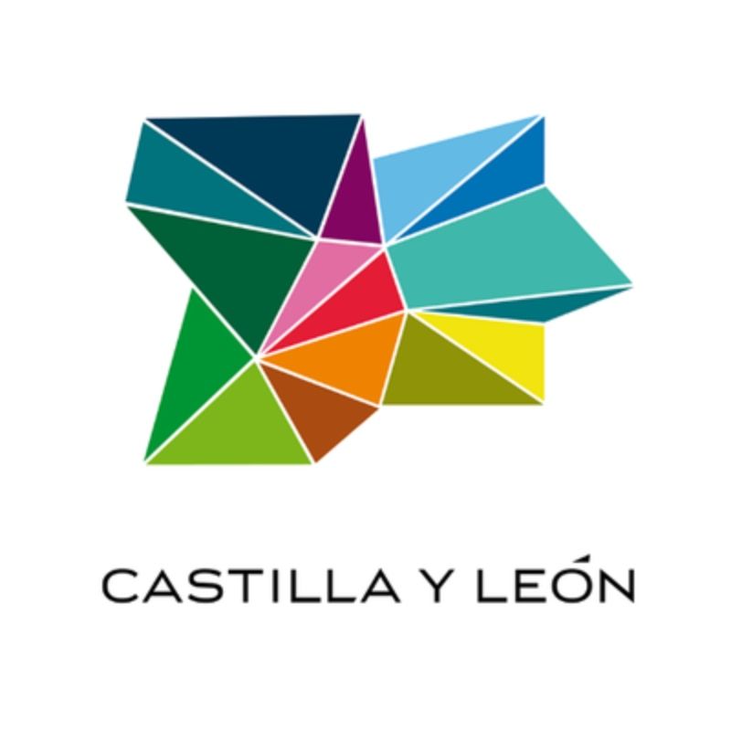 Logo de Turismo Castilla y León 2009