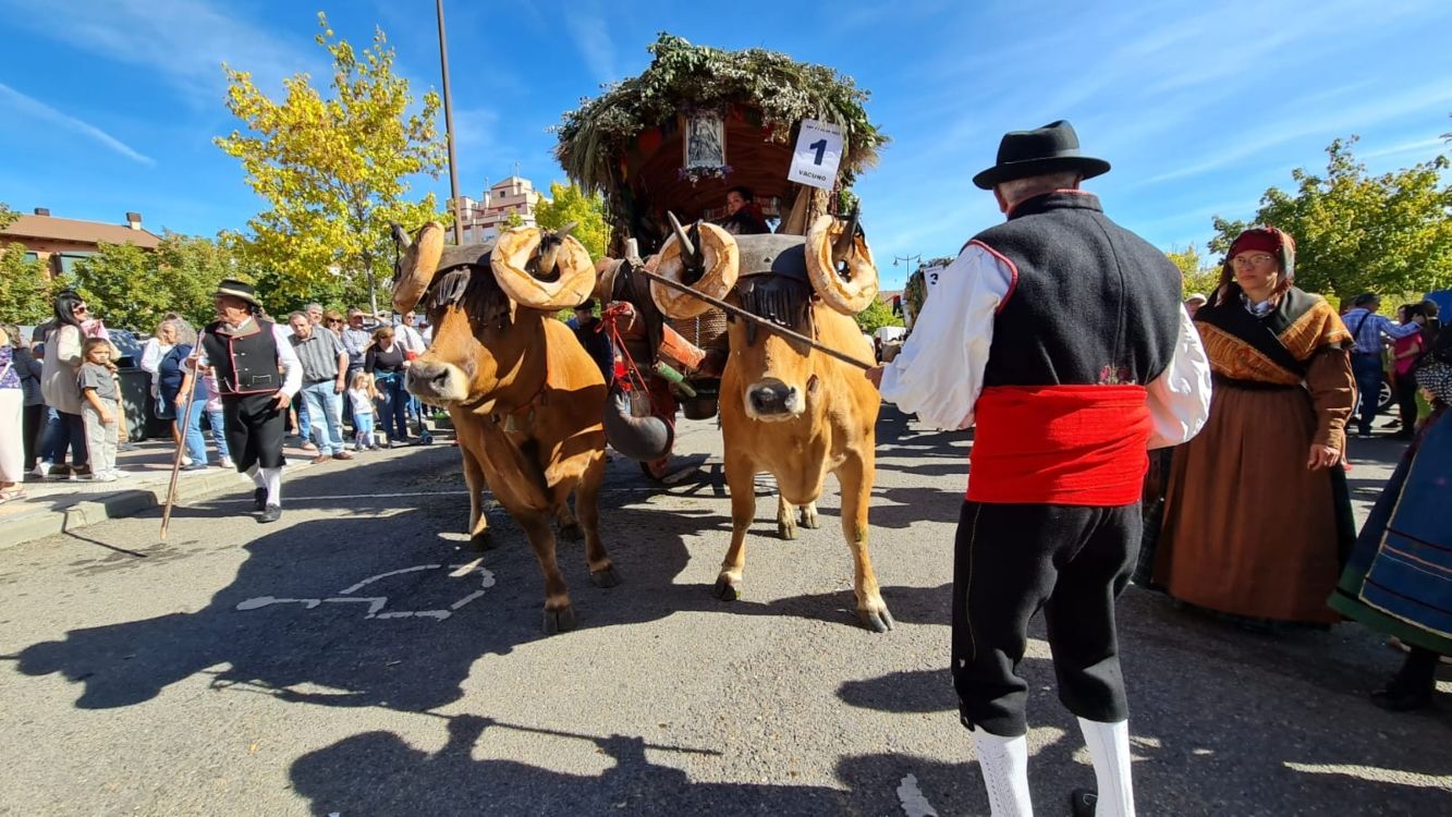 Carros engalanados San Froilán