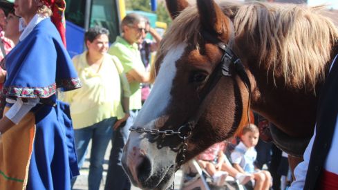  Los carros engalanados por las calles de León con motivo de la fiesta de San Froilán