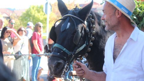  Los carros engalanados por las calles de León con motivo de la fiesta de San Froilán