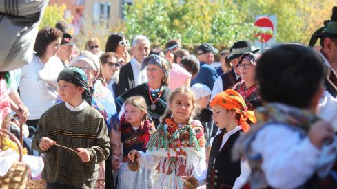  Los carros engalanados por las calles de León con motivo de la fiesta de San Froilán