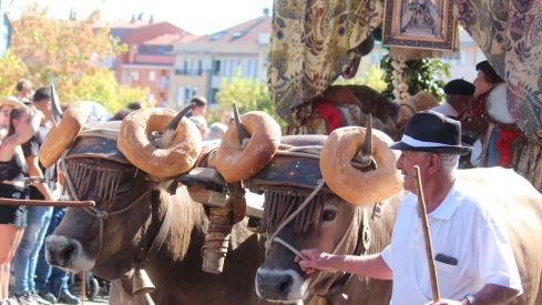  Los carros engalanados por las calles de León con motivo de la fiesta de San Froilán