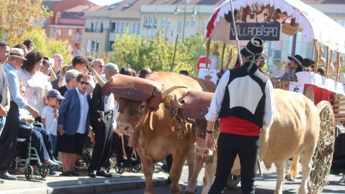  Los carros engalanados por las calles de León con motivo de la fiesta de San Froilán