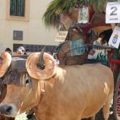 ¿Que hay hoy en las Fiestas de San Froilán? Pendones, Cantaderas y Carros Engalanados