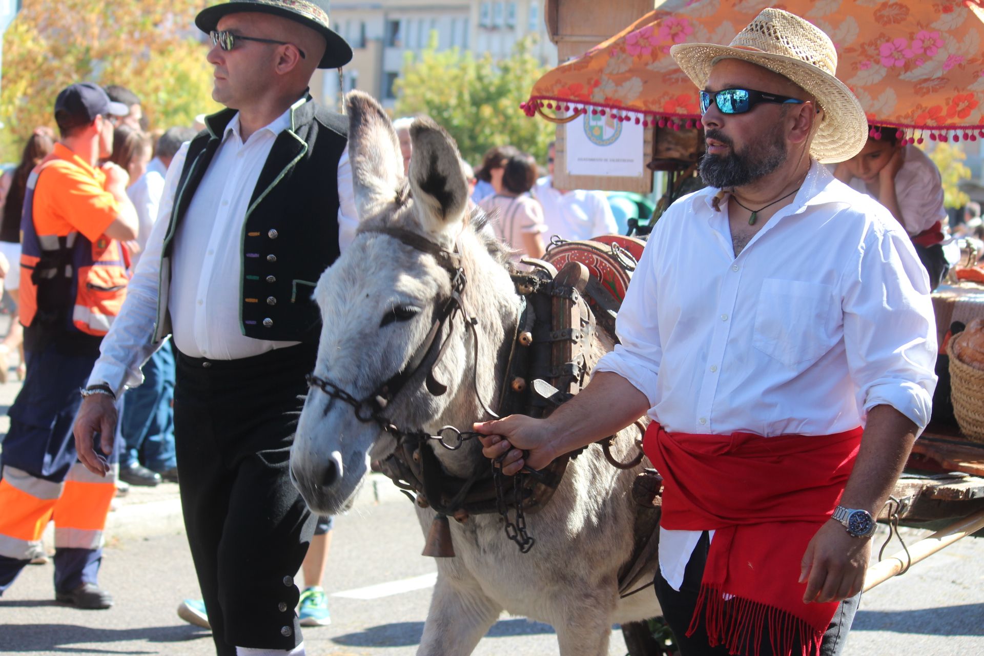  Los carros engalanados por las calles de León con motivo de la fiesta de San Froilán