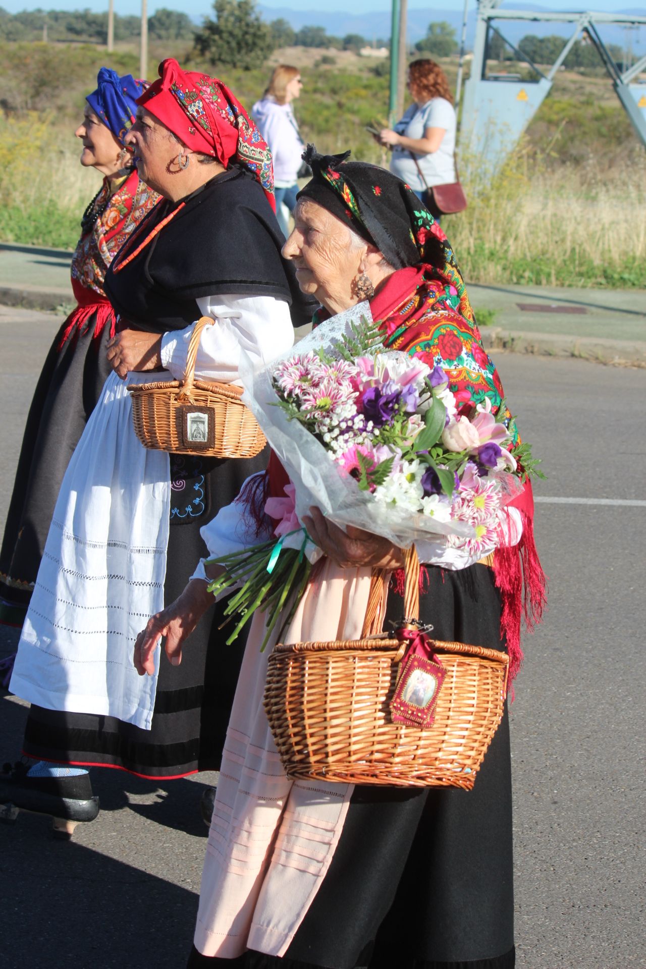 Romería de San Froilán en León