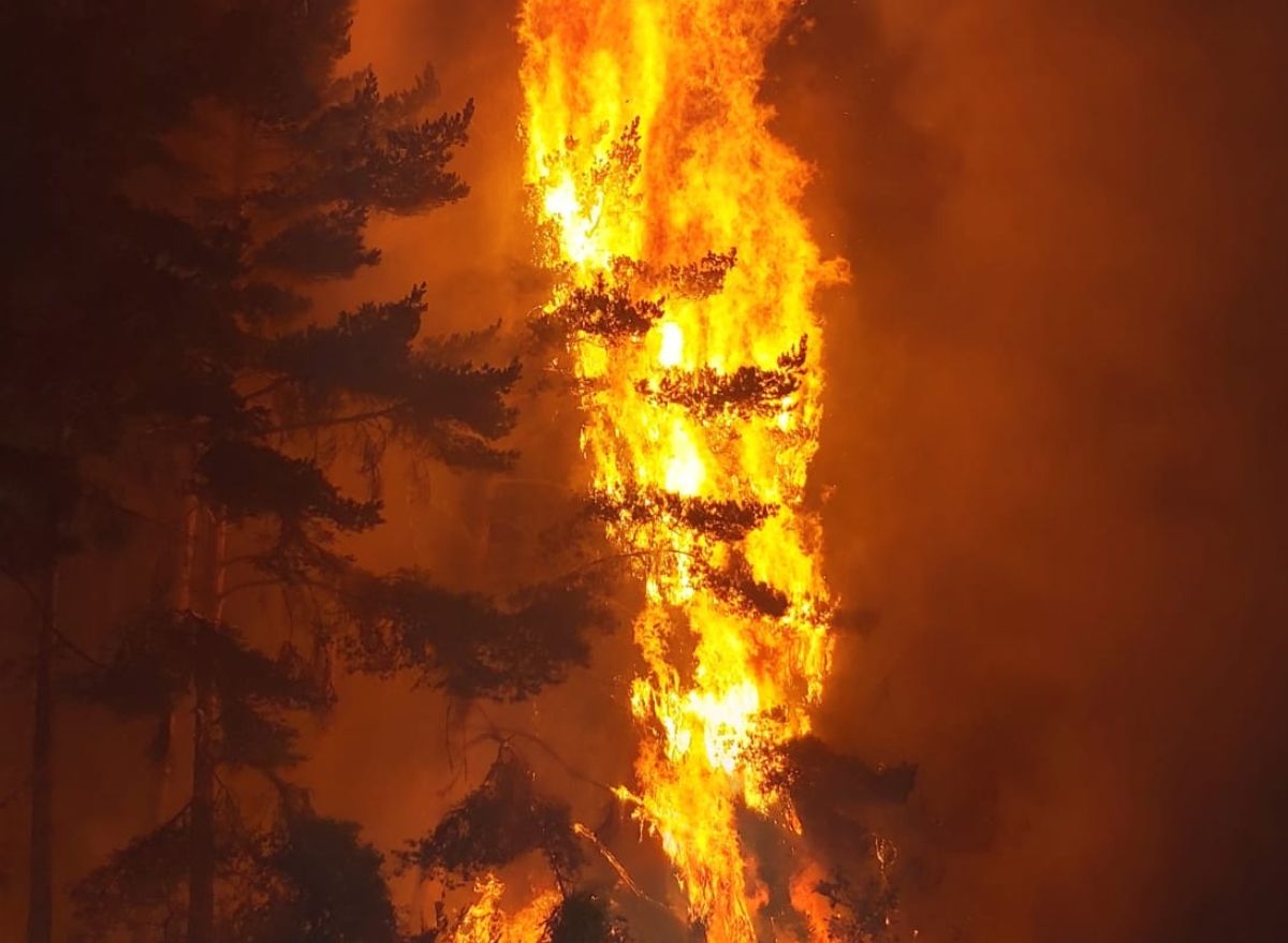  Foto de Archivo de un incendio forestal