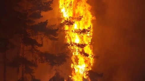  Foto de Archivo de un incendio forestal