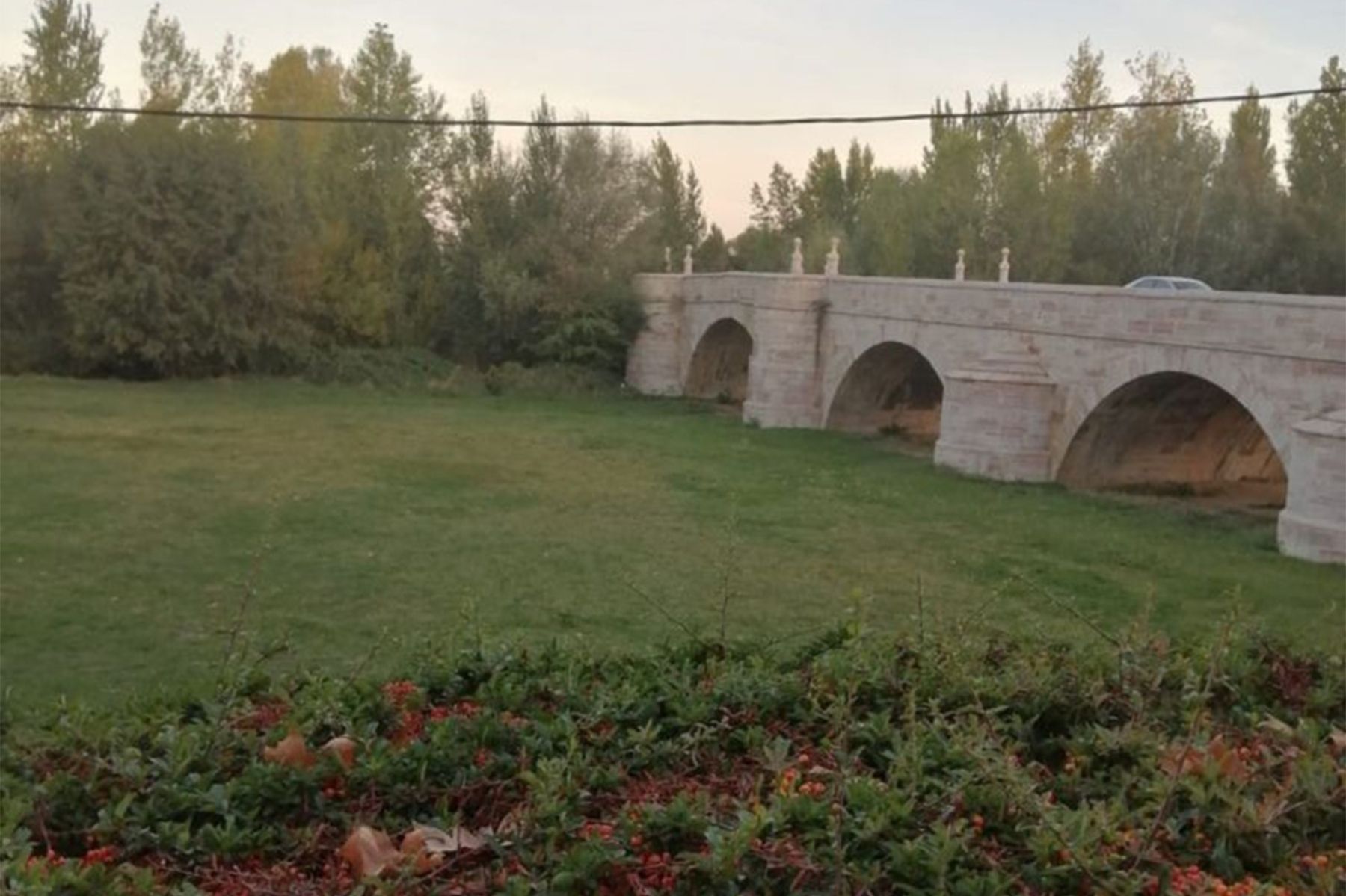  Limpieza y desbroce en el entorno del puente de Puente Castro