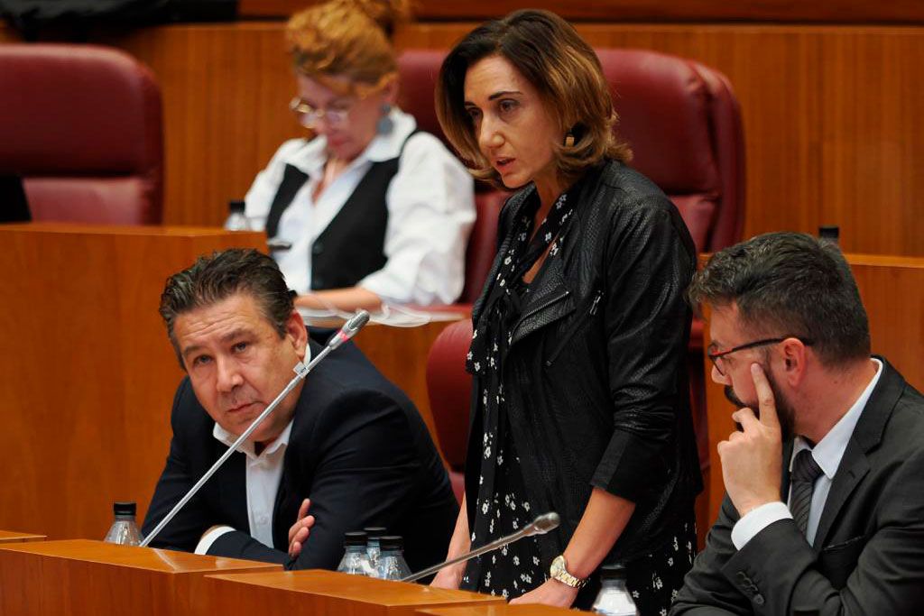 Alicia Gallego, procuradora de UPL en las Cortes de Castilla y León