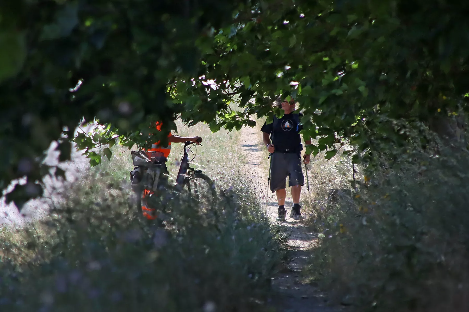 Peregrinos haciendo el Camino de Santiago Francés, por el camino entre Sahagún y León
