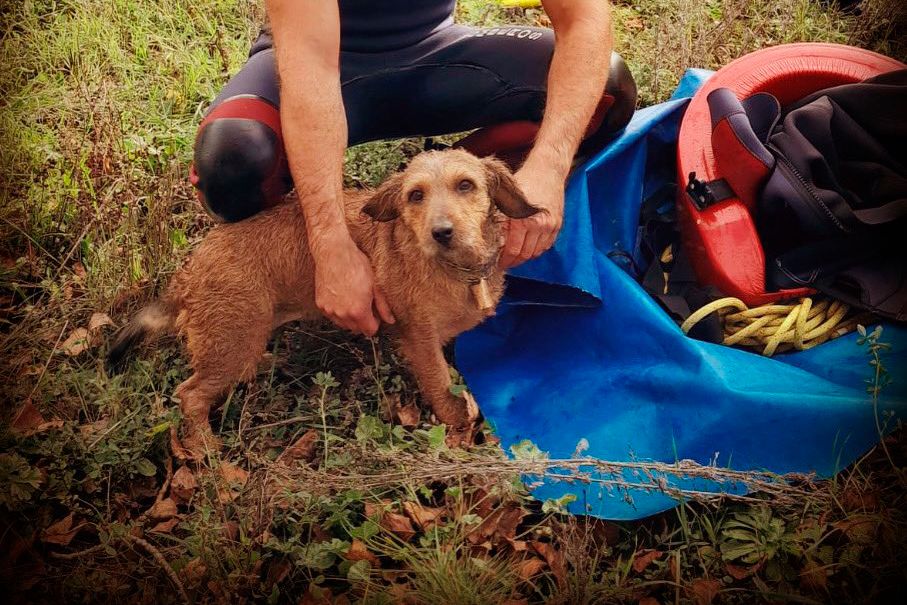 Rescate de "Río" llevado a cabo por los Bomberos de León