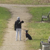 Villaquilambre invertirá 157.500 euros en mejorar cinco espacios caninos Villaquilambre invertirá 157.500 euros en mejorar cinco espacios caninos