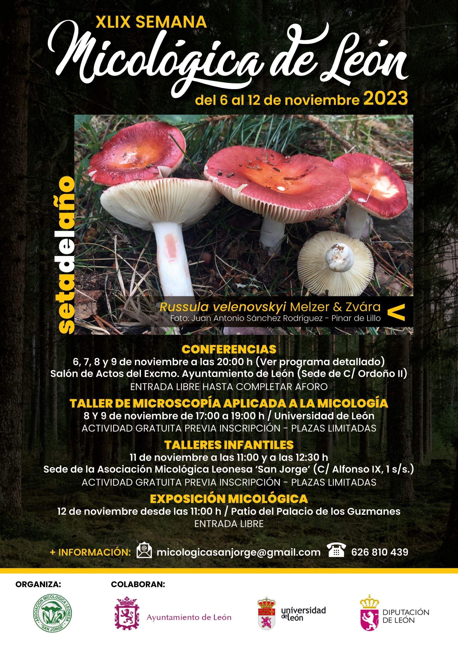 Cartel XLIX Semana Micológica de León Cartel XLIX Semana Micológica de León
