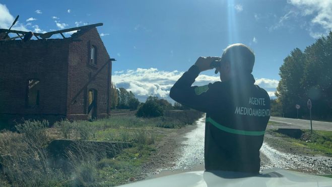 Buitre en Los Oteros Buitre en Los Oteros