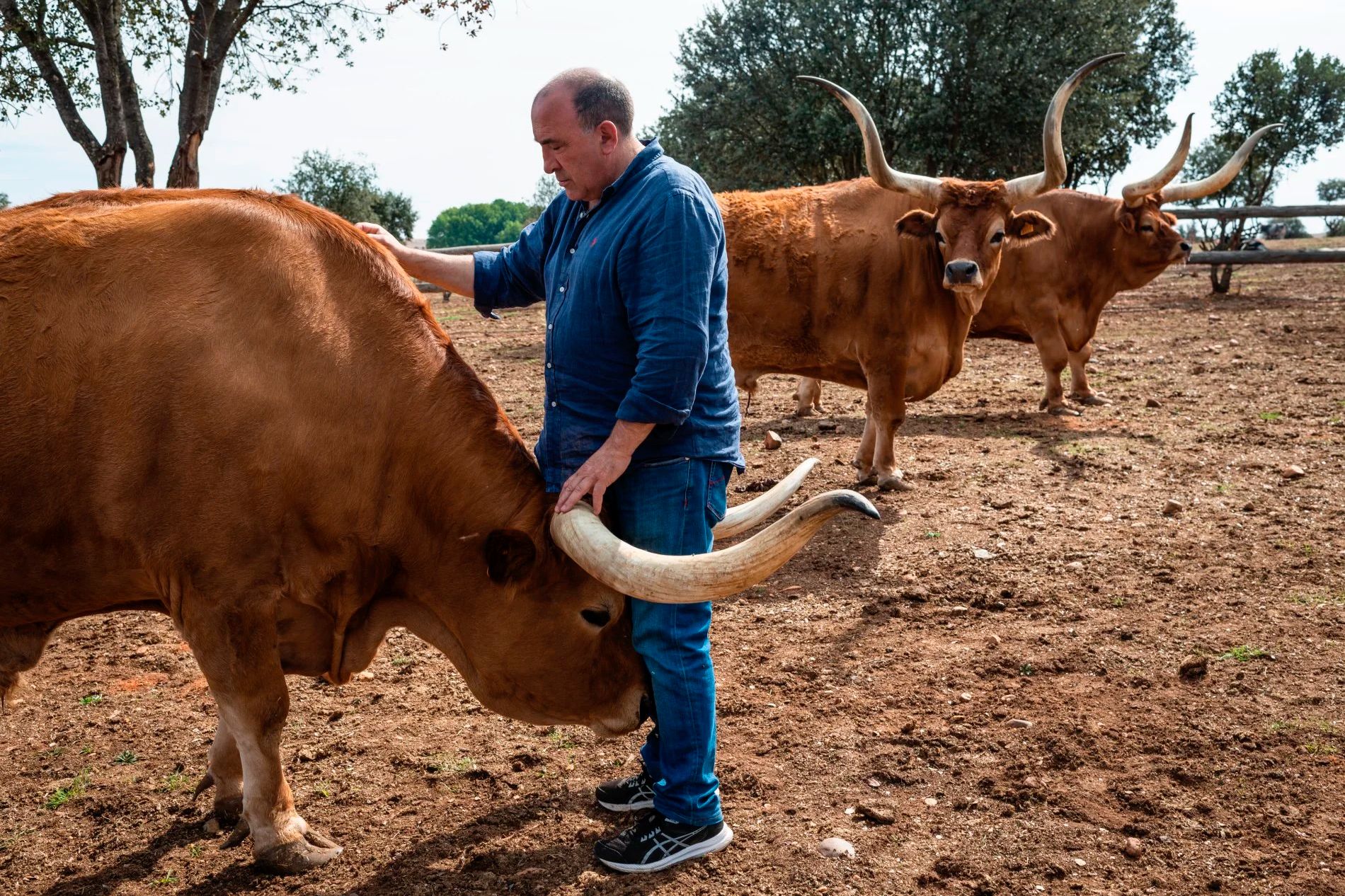 José Gordón, propietario de la Bodega El Capricho en Jimenez de Jamuz | Foto: Guía Repsol