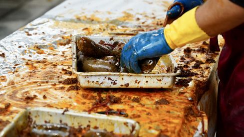 Feria de la Cecina de Chivo en Vegacervera | Campillo (ICAL)