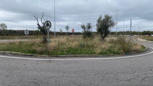 Estado de las rotondas de entrada a León | UPL Estado de las rotondas de entrada a León | UPL