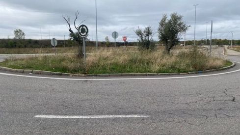 Estado de las rotondas de entrada a León | UPL Estado de las rotondas de entrada a León | UPL