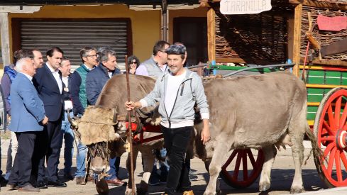 VIII Feria Multisectorial en la comarca de Puente Almuhey | Peio García (ICAL) VIII Feria Multisectorial en la comarca de Puente Almuhey | Peio García (ICAL)