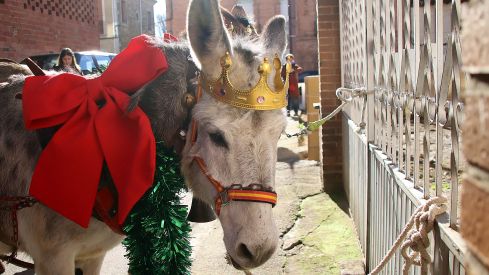 VIII Feria Multisectorial en la comarca de Puente Almuhey | Peio García (ICAL) VIII Feria Multisectorial en la comarca de Puente Almuhey | Peio García (ICAL)