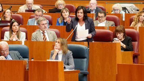  Participación de la procuradora del Partido Socialista, Alicia Palomo, en la sesión plenaria de las Cortes de Castilla y León