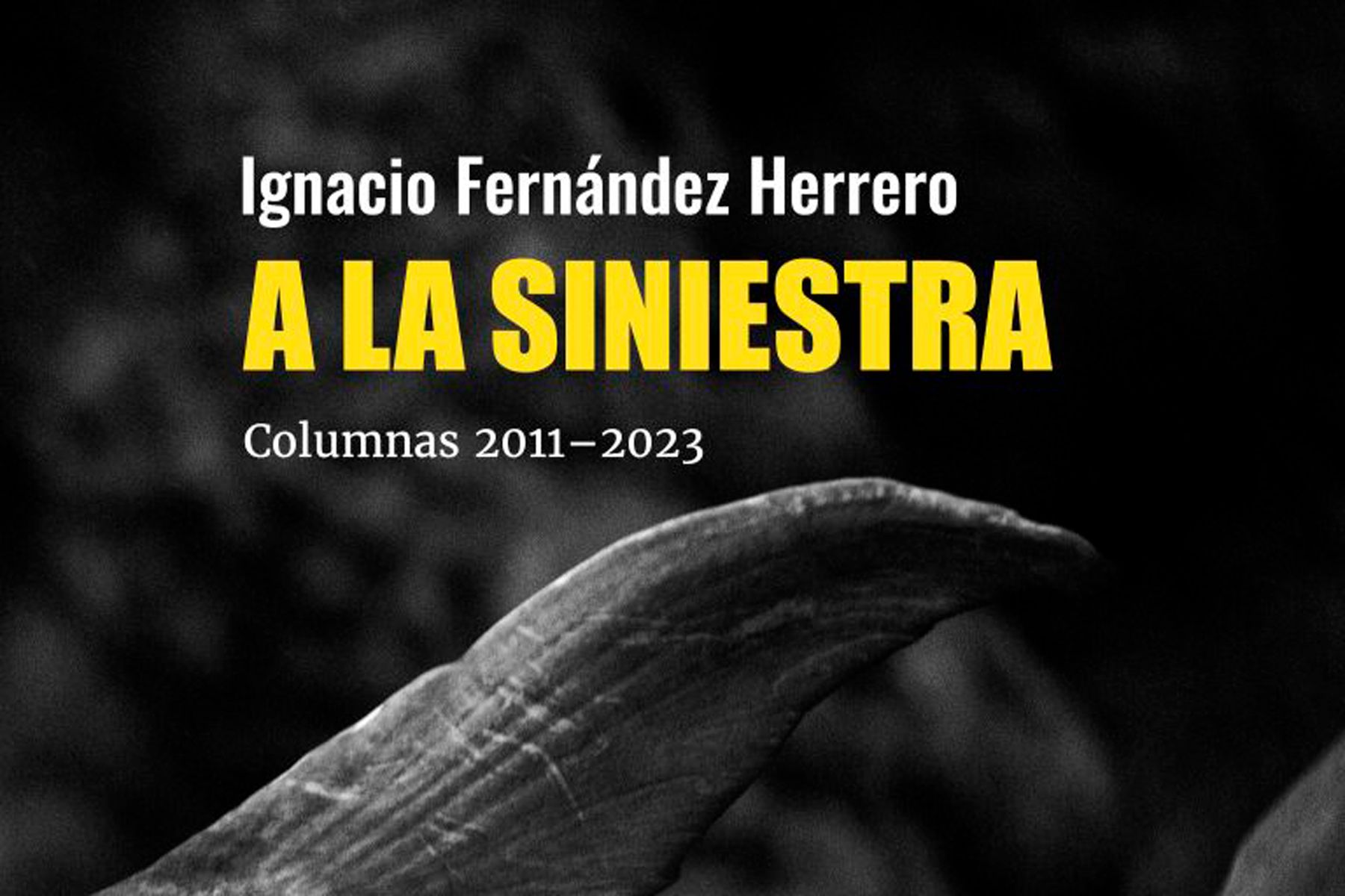 Portada del libro 'A la siniestra' de Ignacio Fernández Herrero