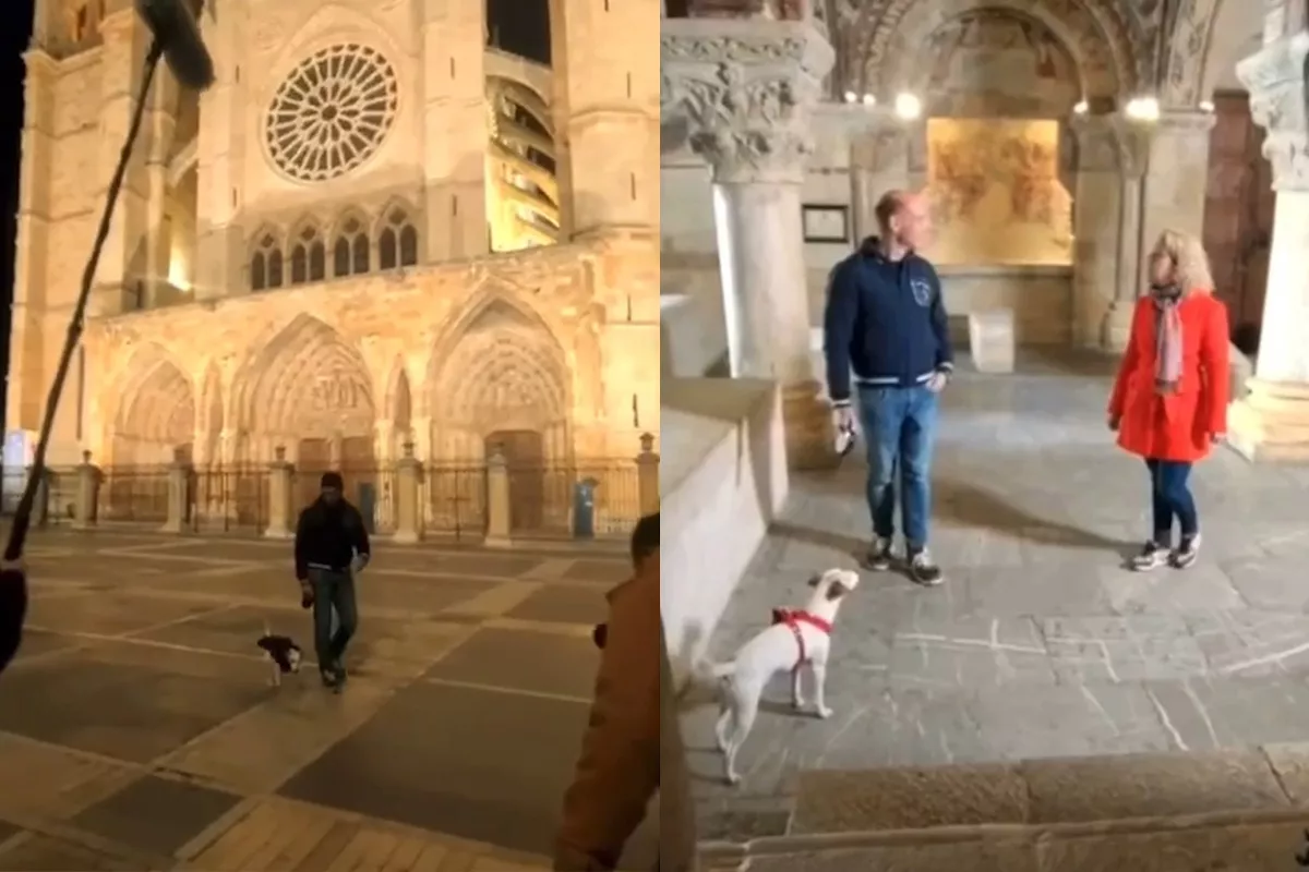 Pipper, el perro viajero, hace parada en León para conocer los lugares más emblemáticos