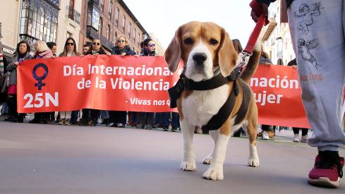  Manifestación  por el Día Internacional de la Eliminación de la Violencia contra la Mujer 