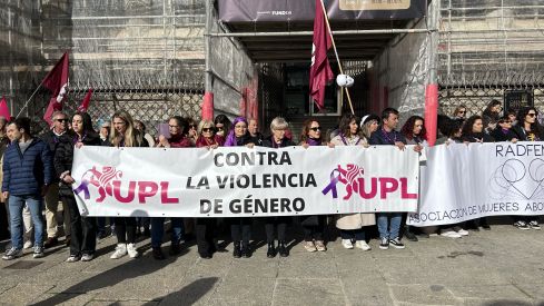 Manifestación  por el Día Internacional de la Eliminación de la Violencia contra la Mujer 