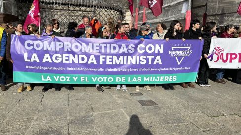 Manifestación  por el Día Internacional de la Eliminación de la Violencia contra la Mujer 