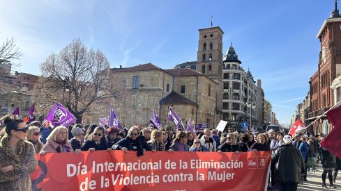 Manifestación  por el Día Internacional de la Eliminación de la Violencia contra la Mujer 